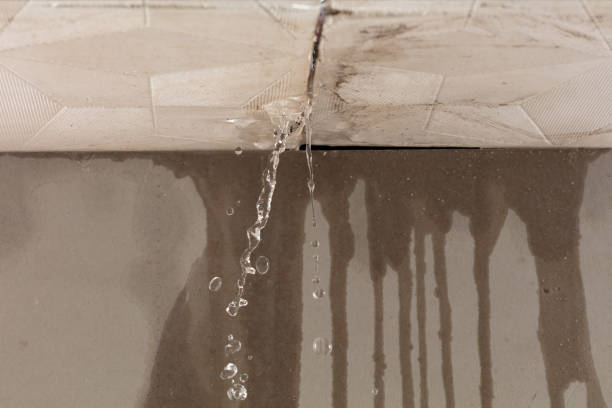 Professional Structural Drying technician working in Greenville, NC